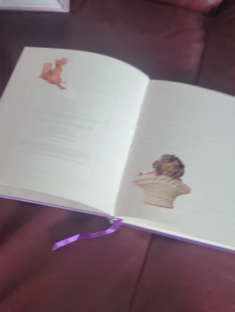Anne Geddes 'Down in the Garden' Purple Baby Journal W/ P floral 4x6 Album